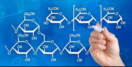 From Lab Bench To Daily Brain Care: Polysaccharides, Immunity, And Alzheimer’s Breakthroughs