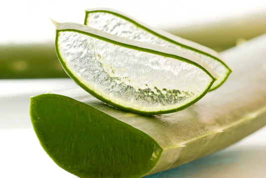 Acemannan Supplement vs Aloe Vera Juice: What the Lab Tests Show