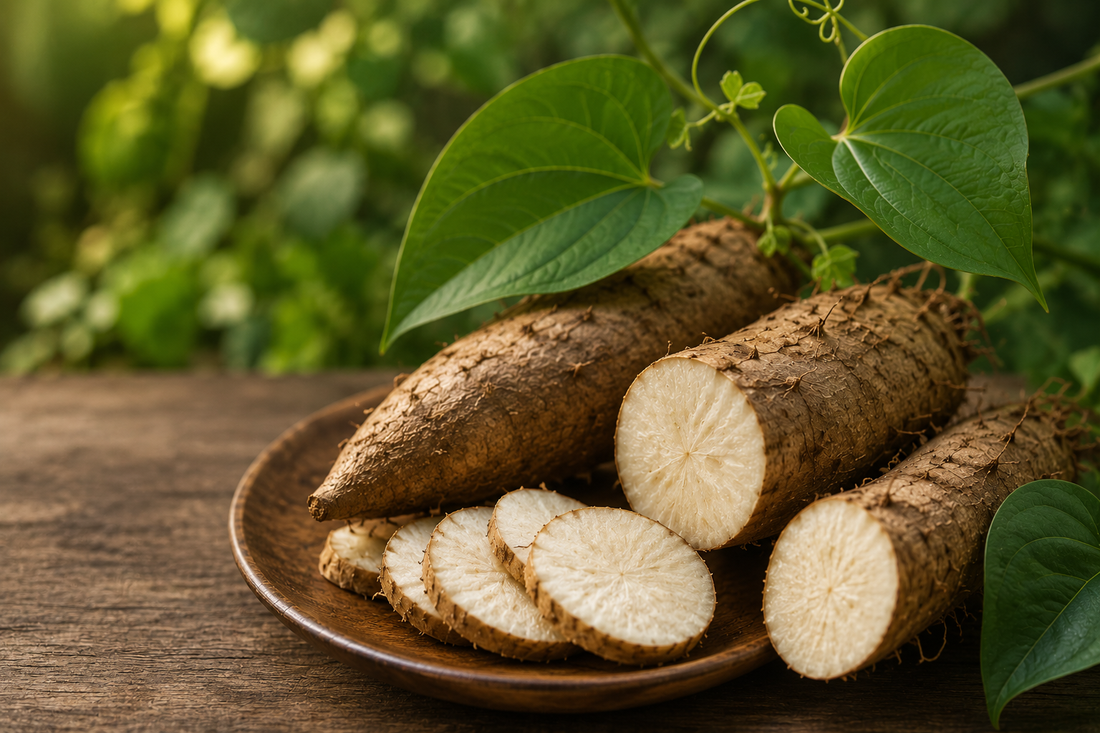 What Is Dioscorea? Benefits, Uses, and Science Behind Wild Yam