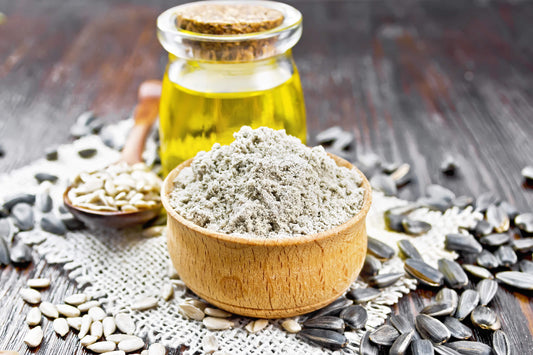 Sunflower lecithin, a source of choline and phosphatidylinositol
