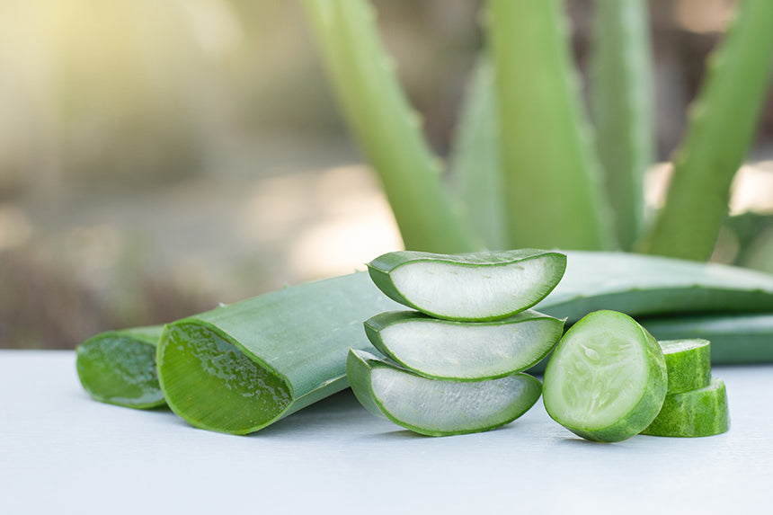 Whole aloe vera leaves alongside cut pieces showing the inner gel, with gel scooped into a bowl