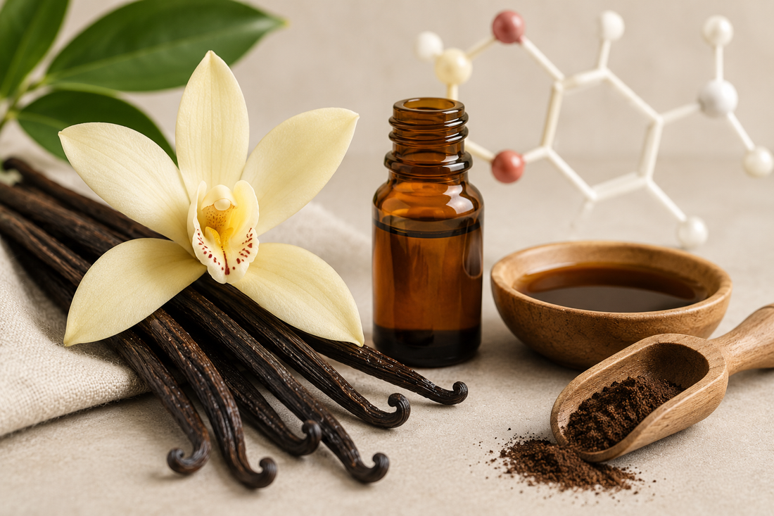 Vanilla beans from the vanilla orchid