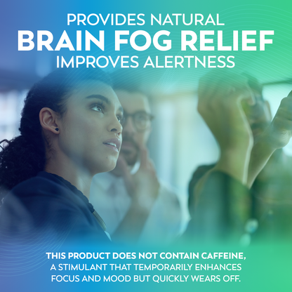 Daily Brain Care — 5-Jar Bundle (90-Day Supply)