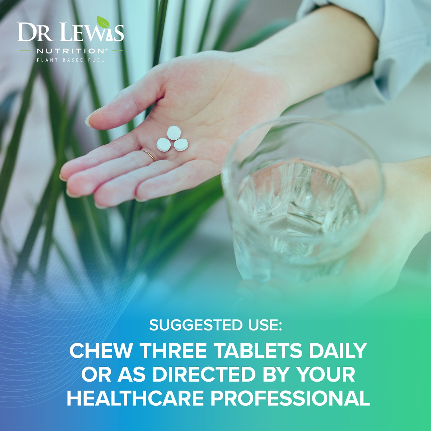 EGCG – Dr Lewis Nutrition®